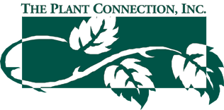 The Plant Connection LLC